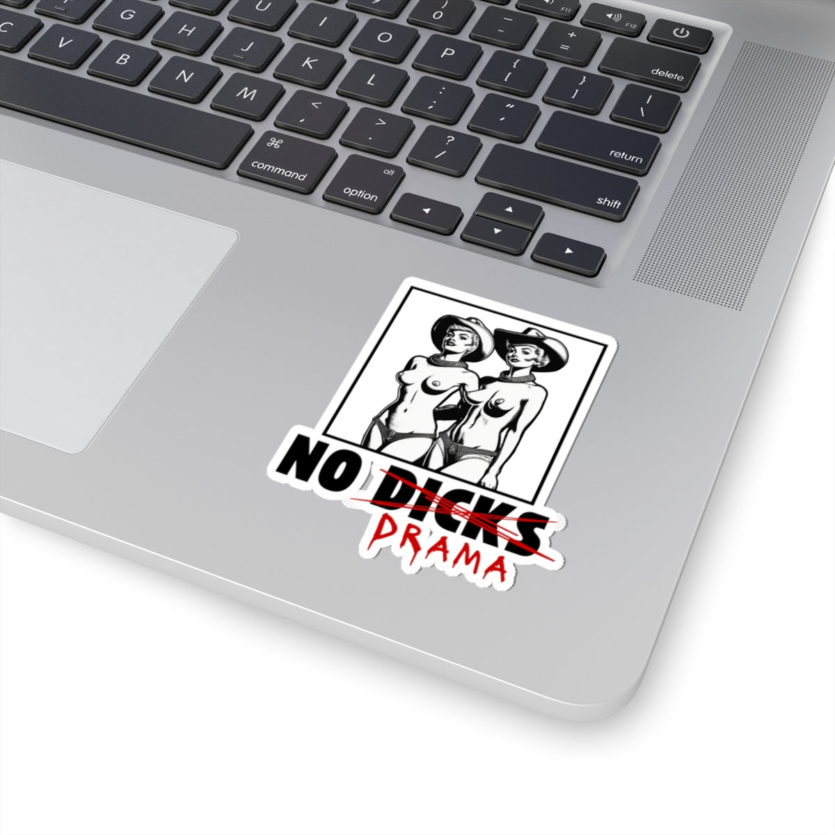 No Dicks No Drama - Sticker